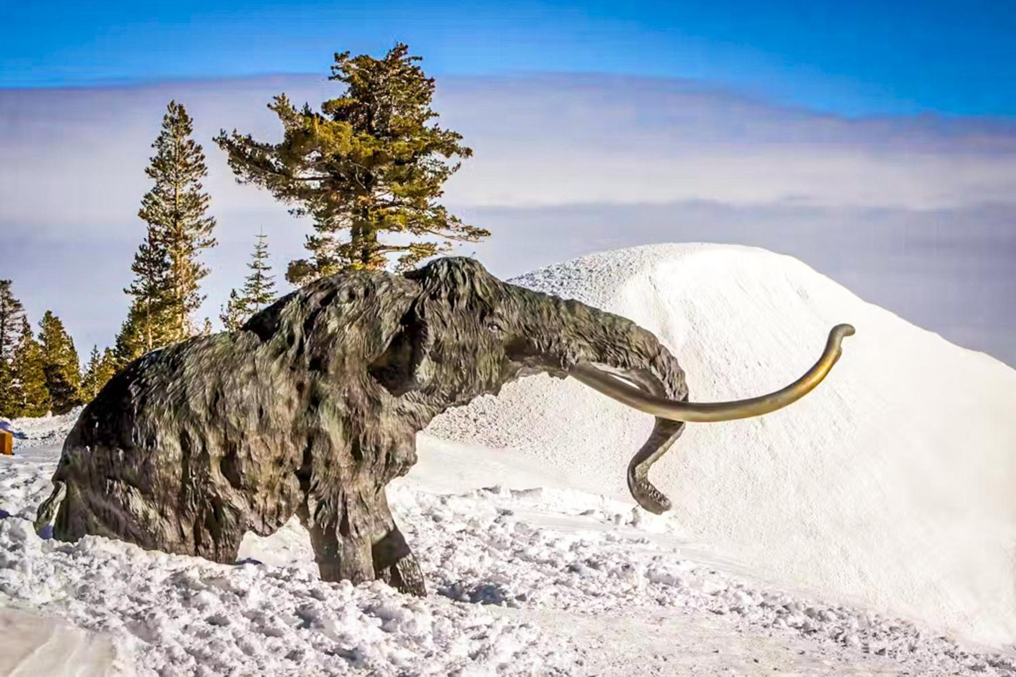 Discovery 4 119 Mammoth Lakes Buitenkant foto